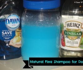 Natural Flea Shampoo For Dogs