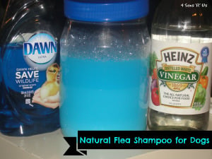 Natural Flea Shampoo For Dogs