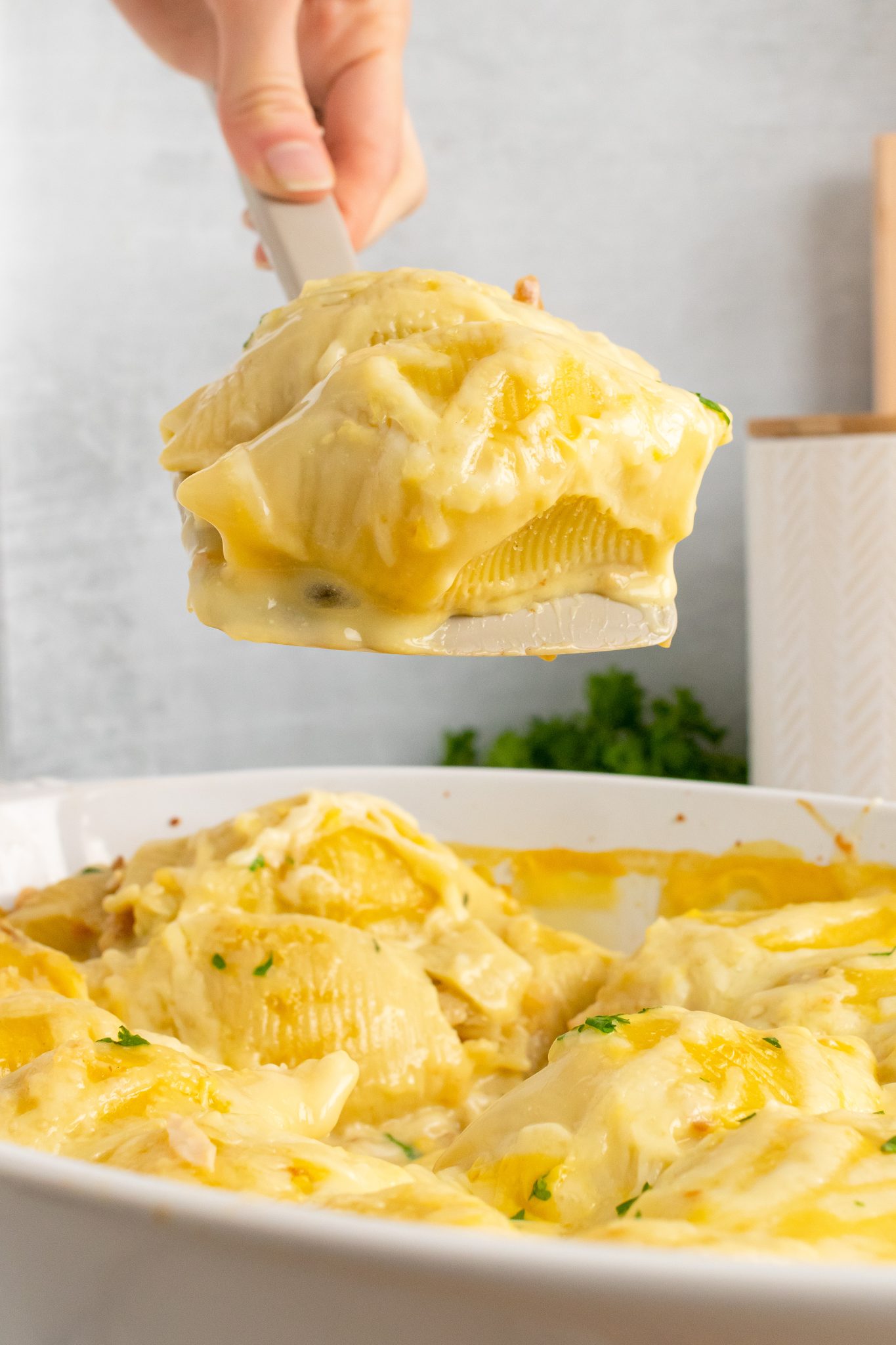 Chicken And Stuffing Stuffed Shells 4 Sons 'R' Us