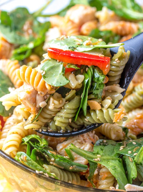 a spoonful of Asian Style Chicken Spinach Pasta Salad held up from the bowl
