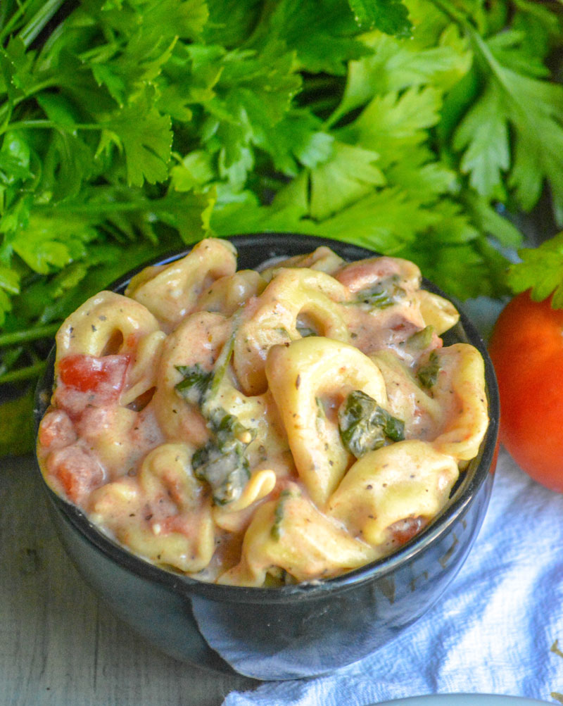 Creamy Tortellini with Spinach & Tomatoes