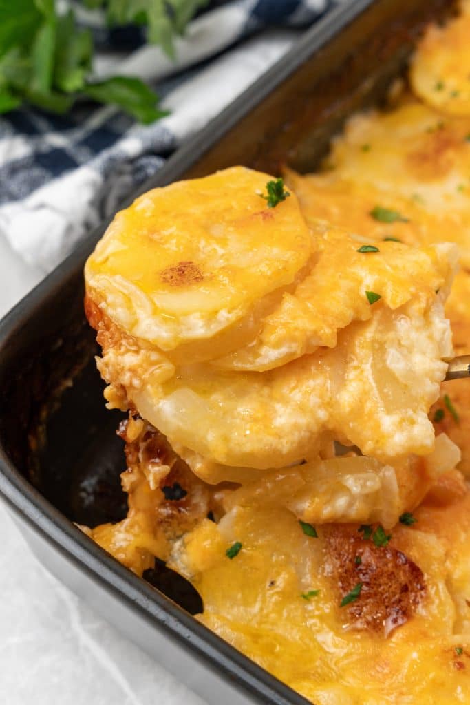 Cheesy Scalloped Potatoes Au Gratin - 4 Sons 'R' Us