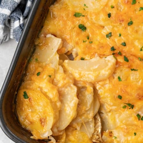 Cheesy Scalloped Potatoes (au Gratin) - A Spicy Perspective
