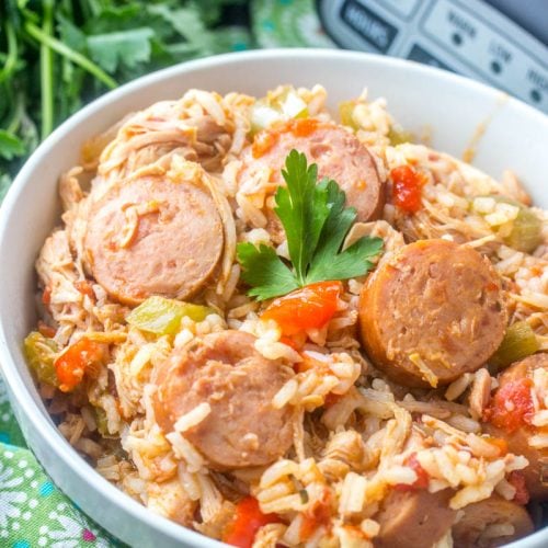 Crockpot Chicken, Sausage, & Rice - 4 Sons 'R' Us