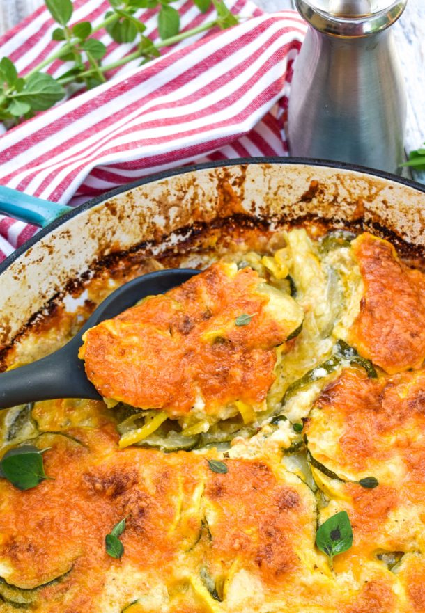 Zucchini & Squash Au Gratin 4 Sons 'R' Us