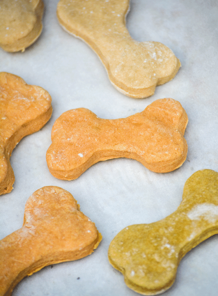 2 ingredient homemade dog treats shown on a piece of parchment paper