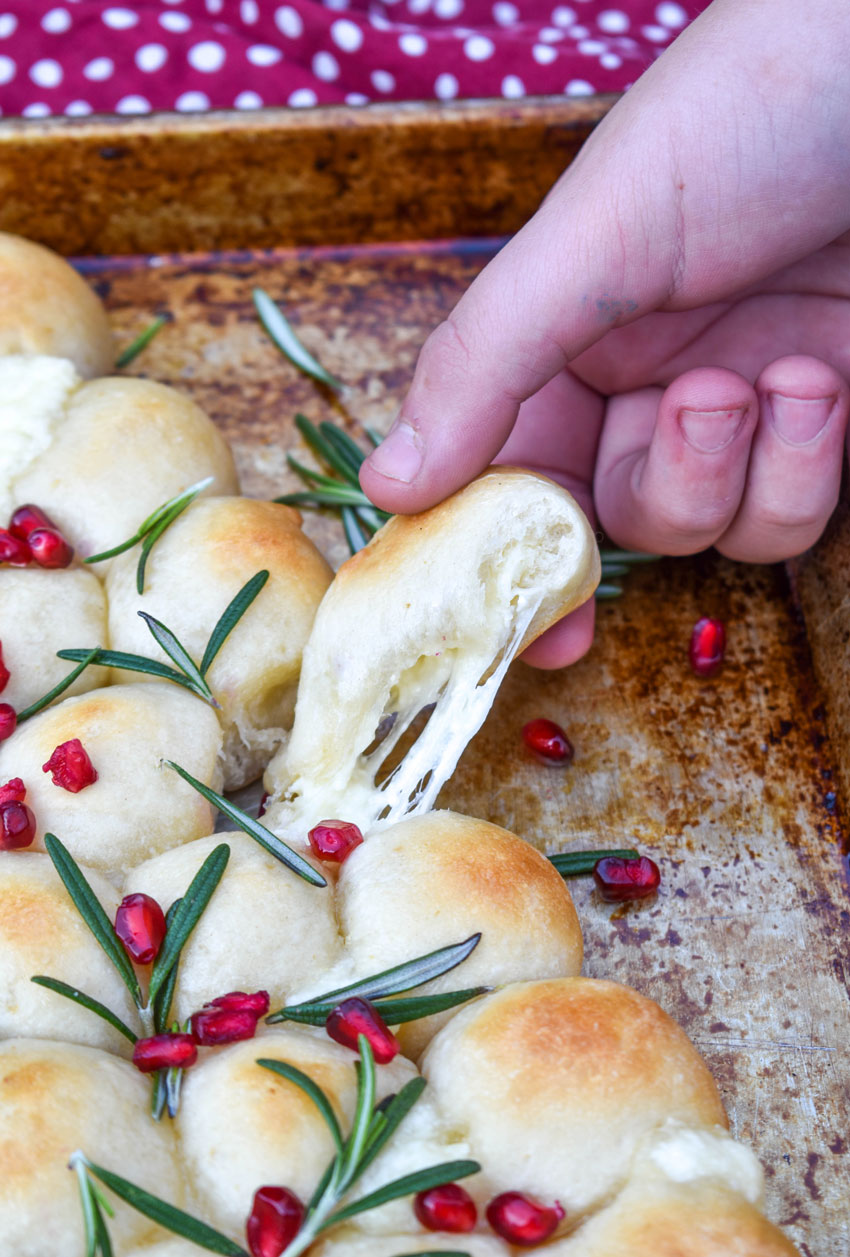 a hand pulling off a piece of cheese stuffed christmas bread