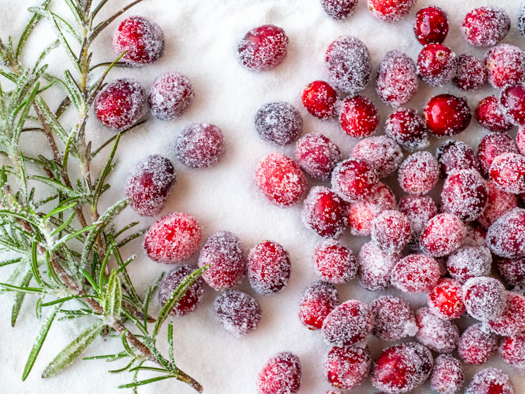 sugared cranberries and rosemary shown on a bed of white sugar