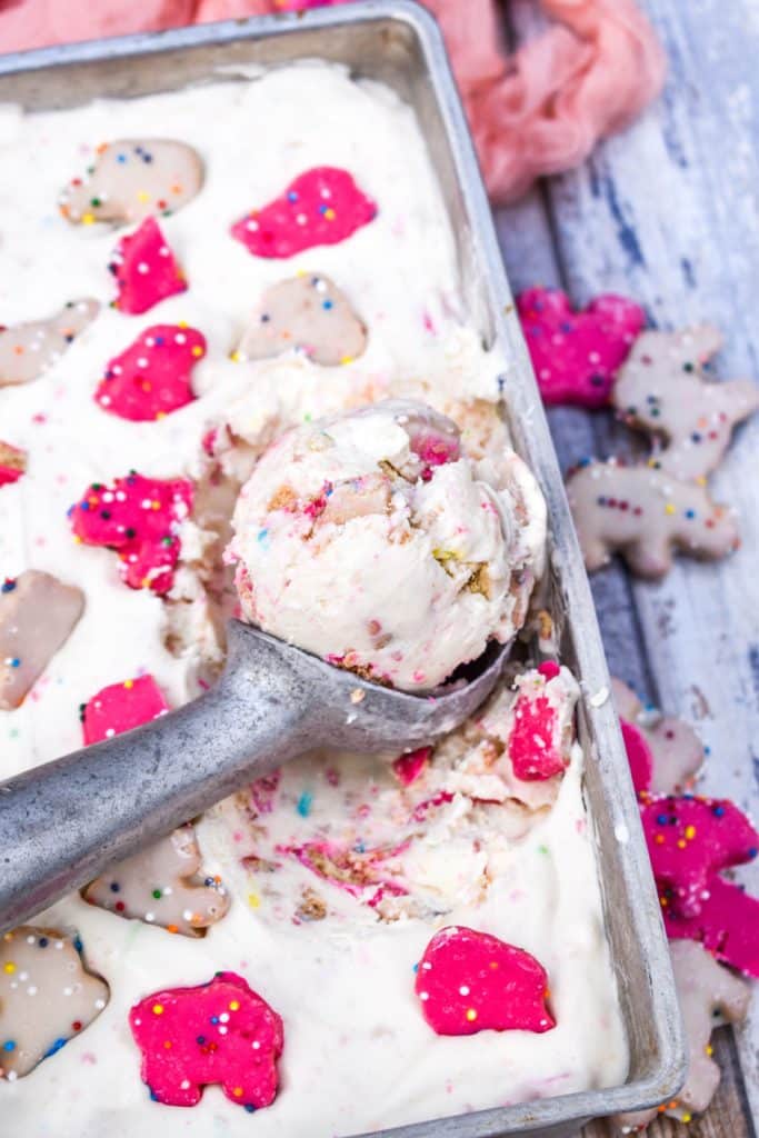 Circus Animal Cookie Ice Cream 4 Sons 'R' Us