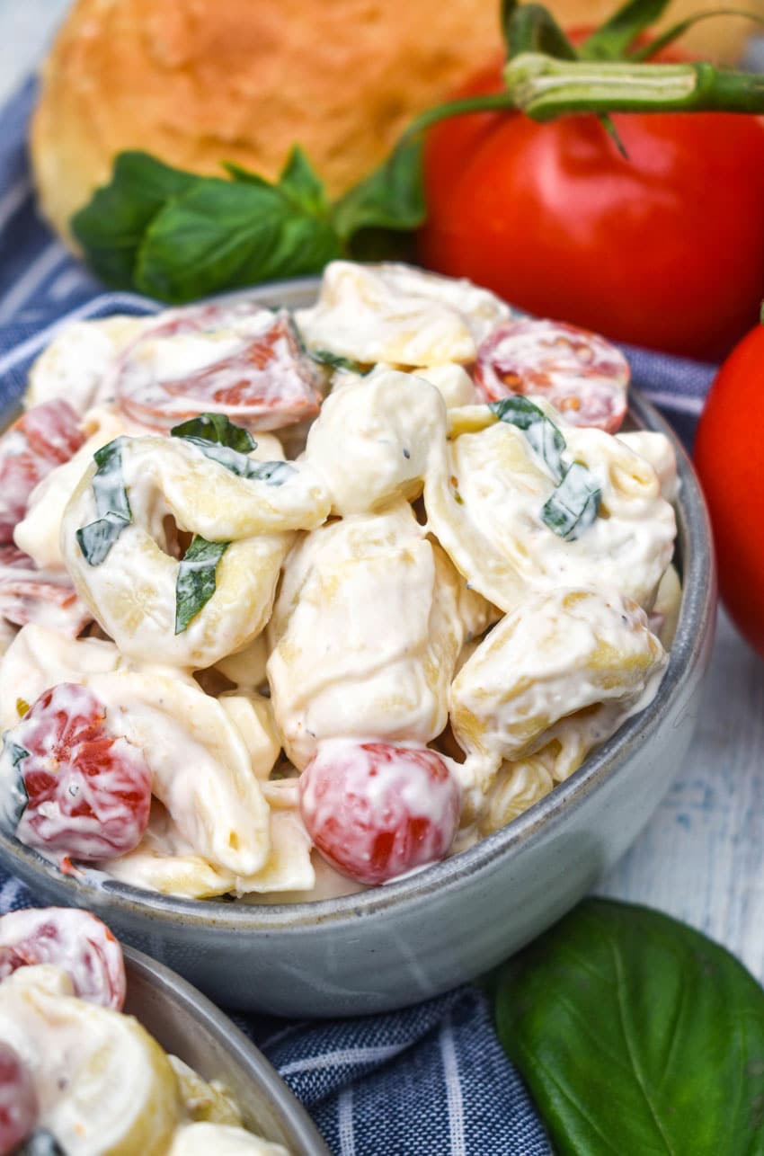 pepperoni basil tortellini salad in two small gray bowls