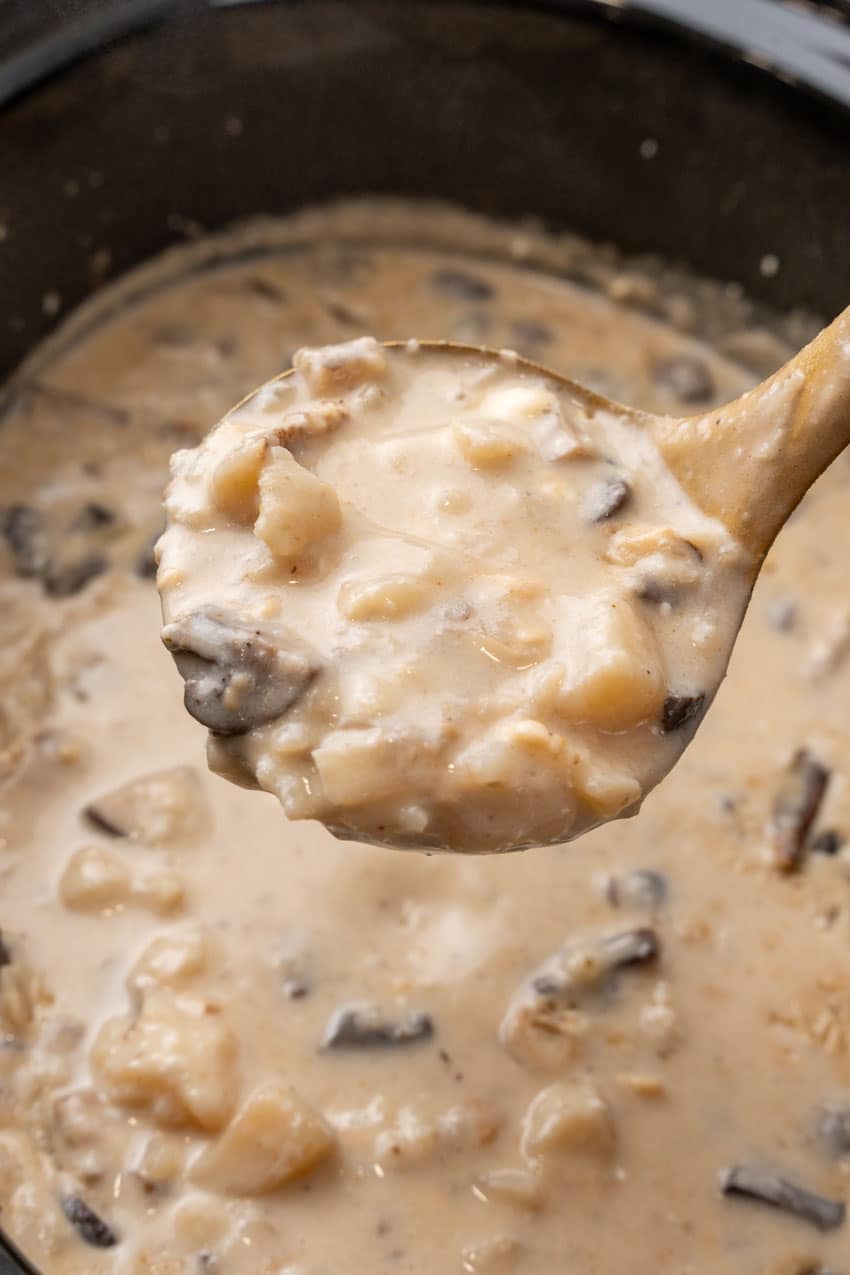 a gold ladle holding up a scoop of creamy mushroom and swiss potato soup
