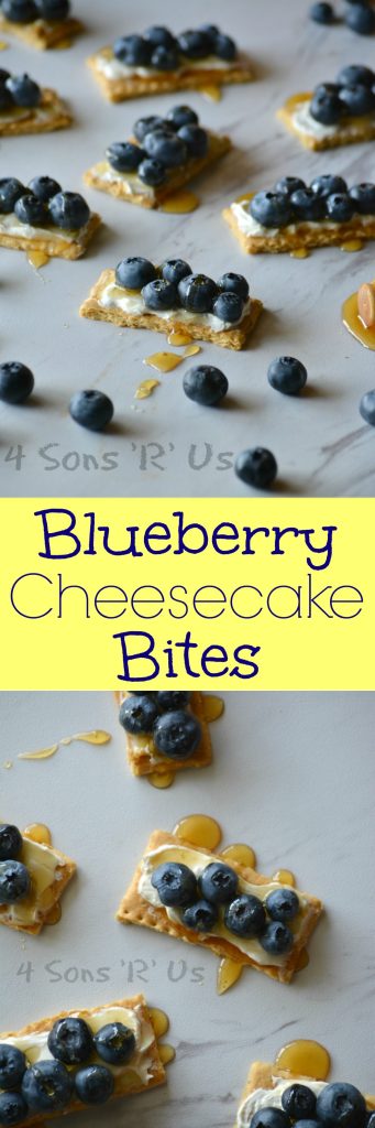 Blueberry Cheesecake Bites Collage