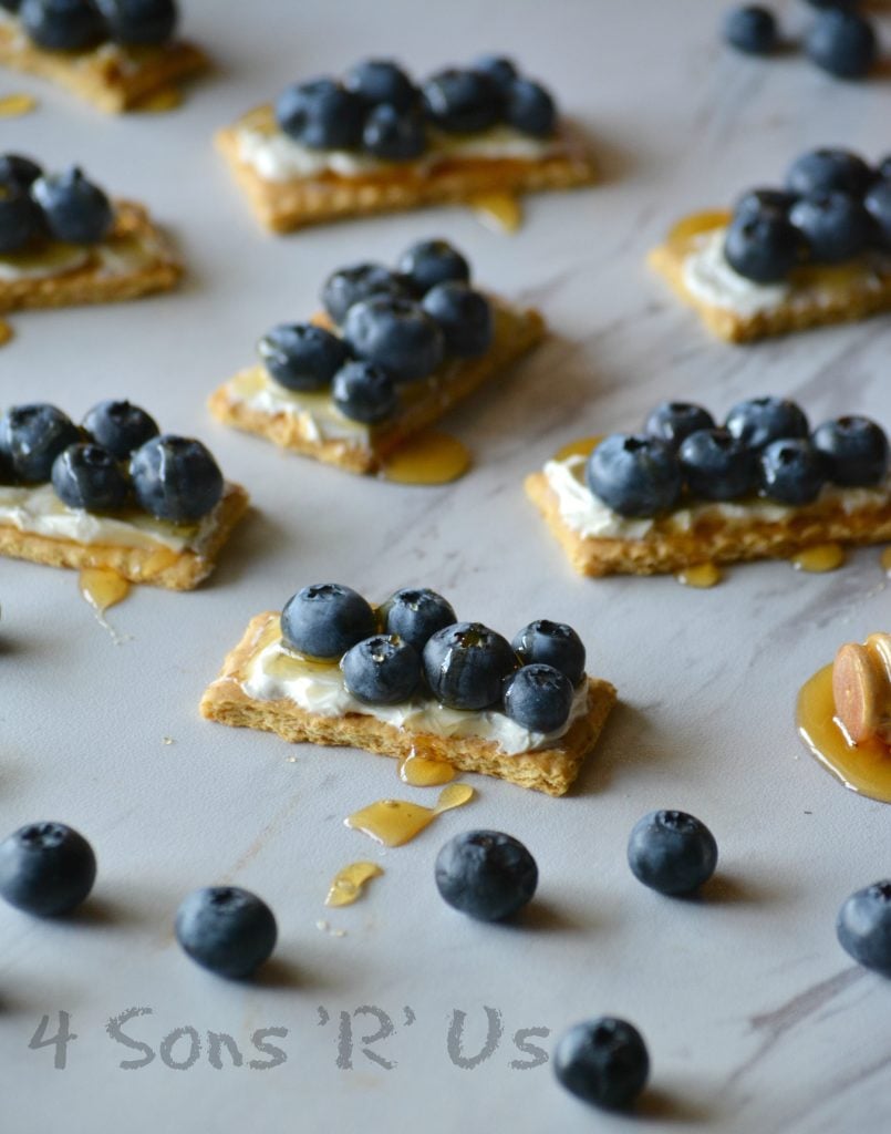 Blueberry Cheesecake Snack Bites