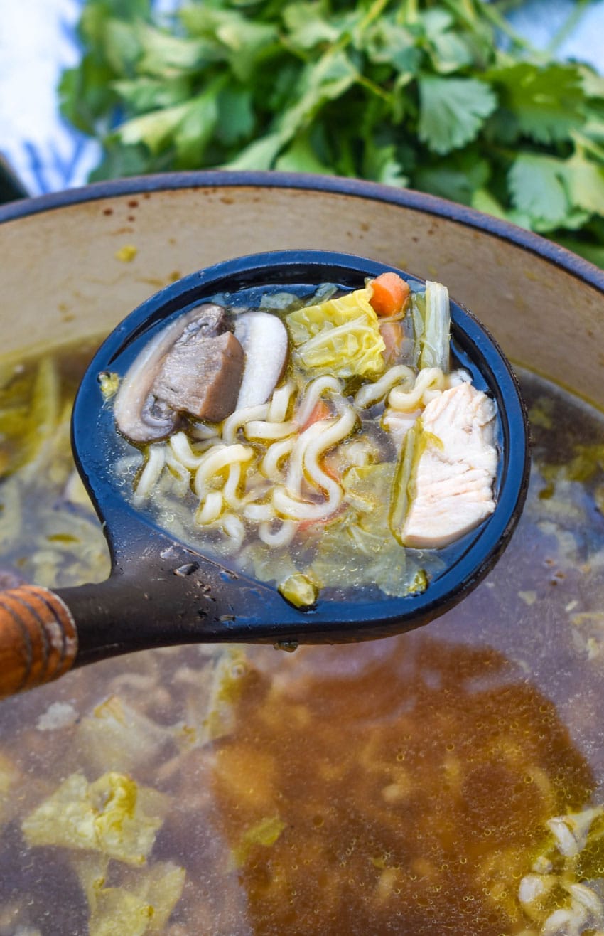 a black silicone ladle holding up a scoop of Asian chicken noodle soup