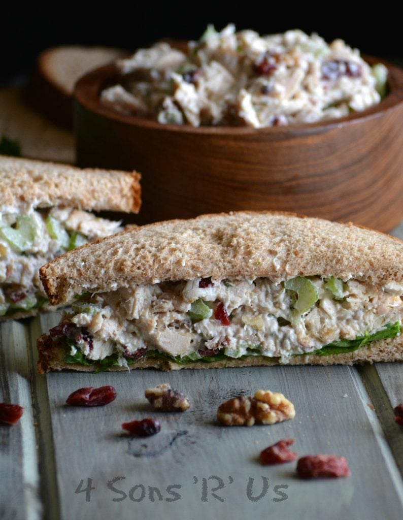 Cranberry Walnut Chicken Salad - 4 Sons 'R' Us