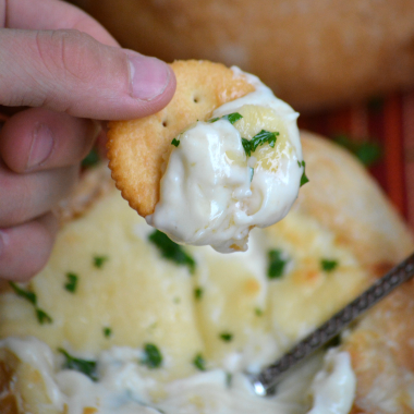 a hand holding up a cracker topped with parmesan shrimp dip