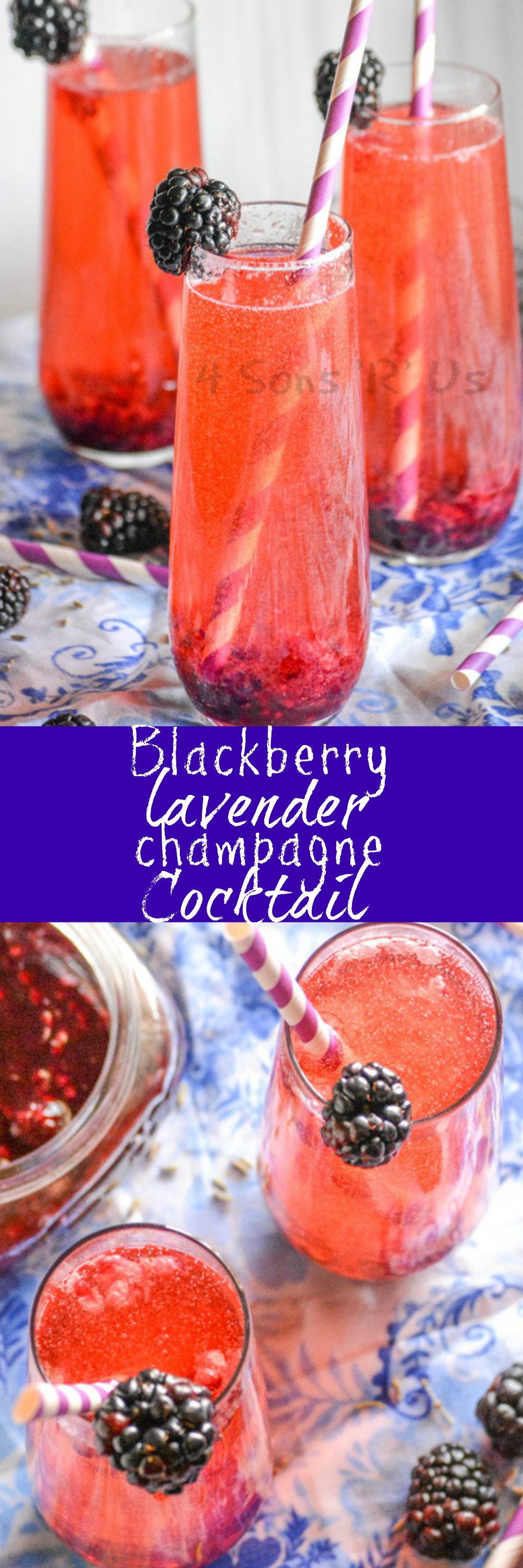 Blackberry Lavender Champagne Cocktail - 4 Sons 'R' Us