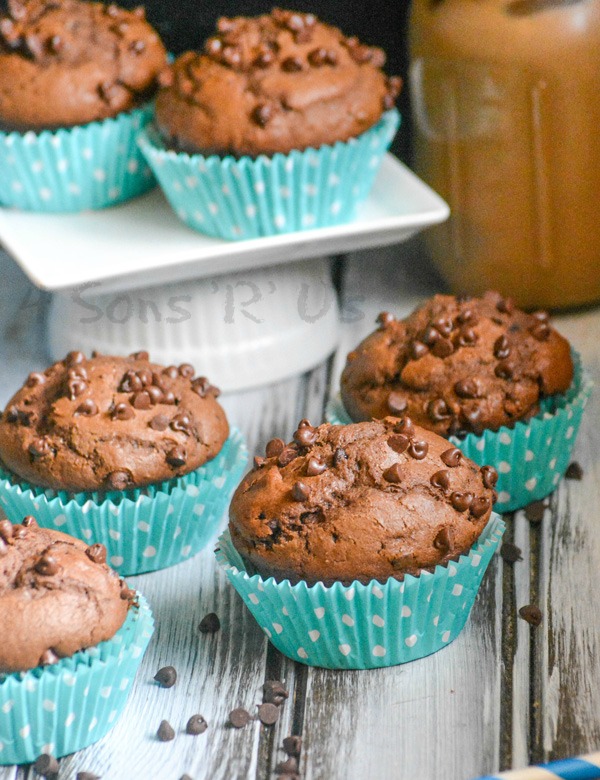 Chocolate Chocolate Chip Mocha Muffins