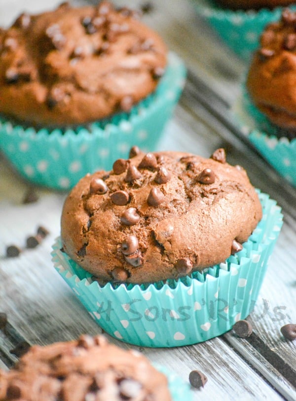 chocolate chocolate chip mocha muffins in teal cupcake wrappers on a wooden table