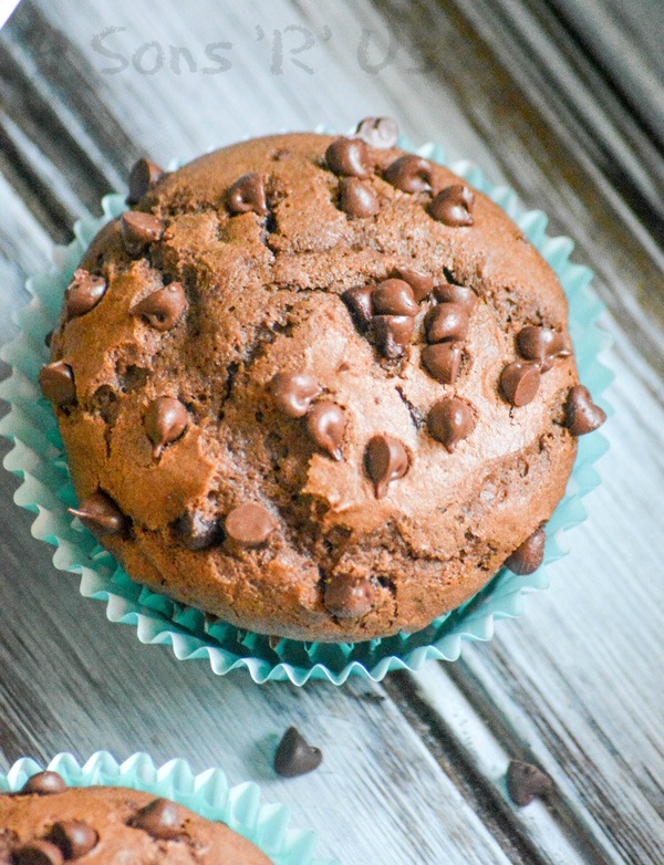 Chocolate Chocolate Chip Mocha Muffins