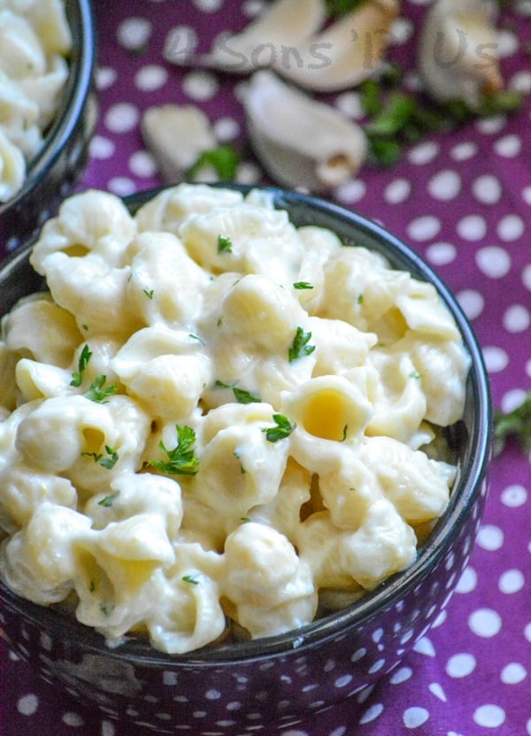 Creamy Garlic Shells Pasta