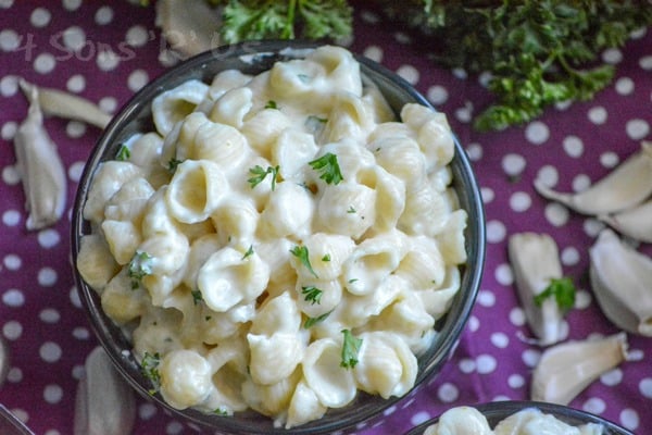 Creamy Garlic Shells Pasta