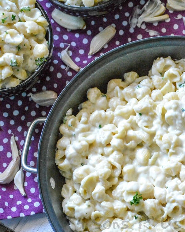 Creamy Garlic Shells Pasta