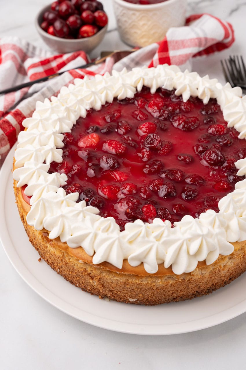 eggnog cheesecake with cranberry topping and squirts of whipped cream around the outer edge on a white serving plate