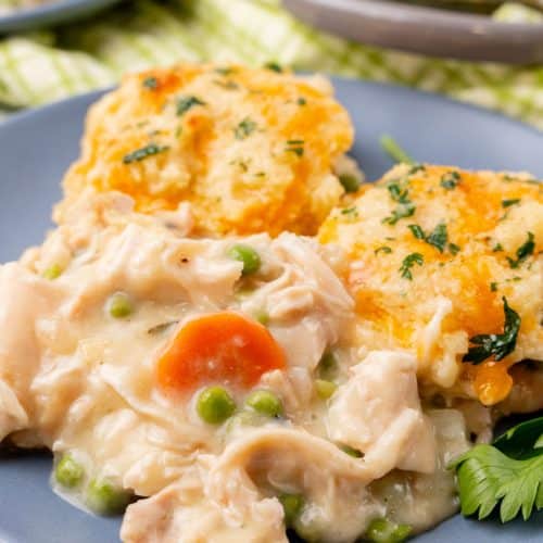 cheddar bay biscuit chicken cobbler on a gray dinner plate