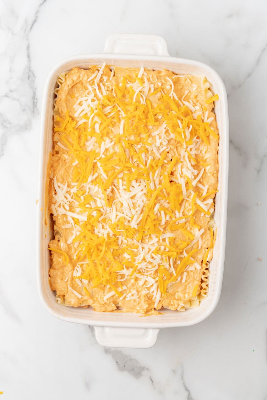 unbaked cheese topped buffalo chicken lasagna in a white baking dish