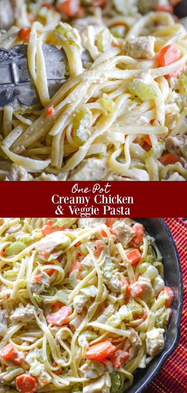 This One Pot Creamy Chicken & Vegetable Pasta is the meal every busy parent's week night dreams are made of. Chock full of healthy veggies, pasta the kids love, all tucked up in a savory cream sauce. It's comfort food made simple.