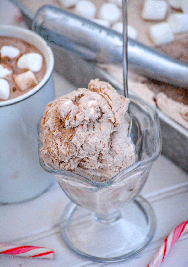 No Churn Frozen Hot Chocolate Ice Cream