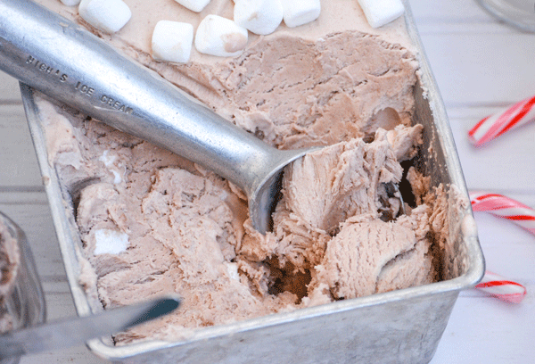 No Churn Frozen Hot Chocolate Ice Cream