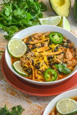 Healthy Chicken & Black Bean Tex Mex Soup