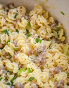 Simple Sausage & Parmesan Pasta Skillet - 4 Sons 'R' Us