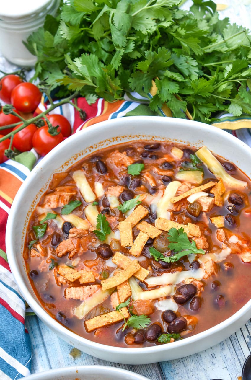 chicken and black bean soup in a large white bowl