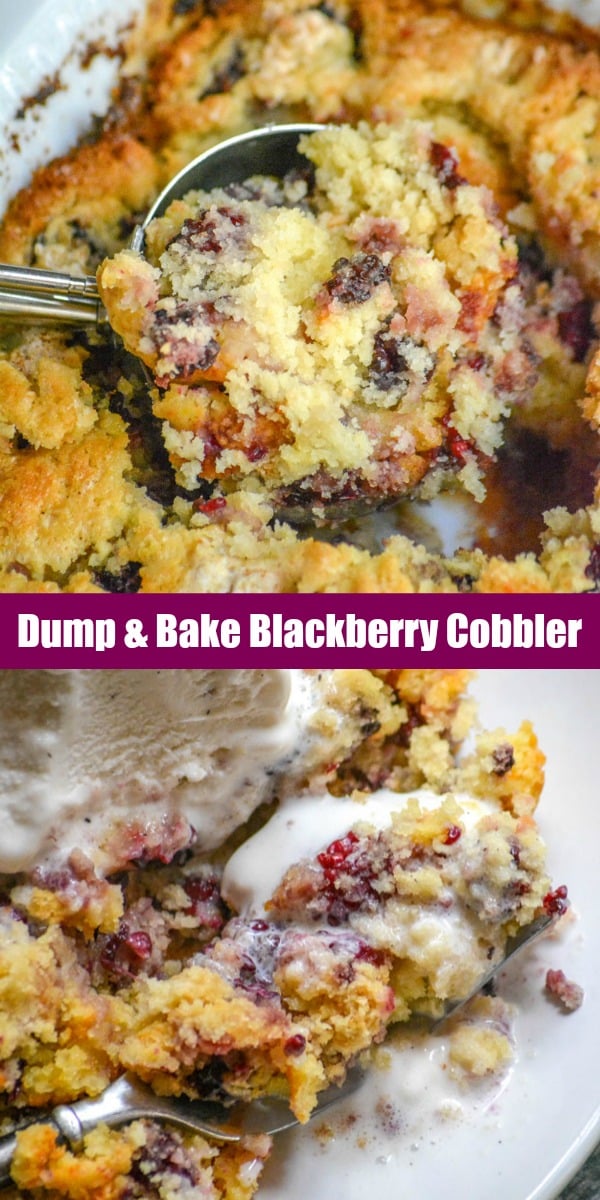 A traditional Southern Summer dessert, you can’t go wrong with adding your favorite fruit into a sweet cobbler. Quick, easy, and only 4 ingredients- this Dump & Bake Blackberry Cobbler is a budget friendly dessert that absolutely tastes gourmet.