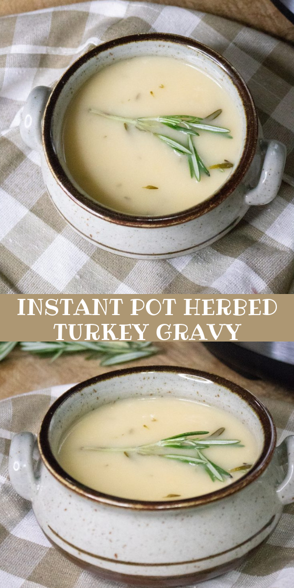 INSTANT POT HERBED TURKEY GRAVY Big 4 Sons 'R' Us