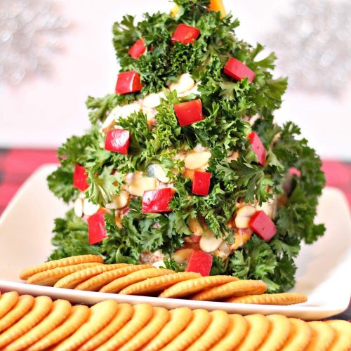 Christmas Tree Themed Holiday Cheese Ball - 4 Sons 'R' Us