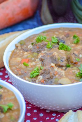 BEEF AND BARLEY STEW IN A WHITE SOUP BOWL