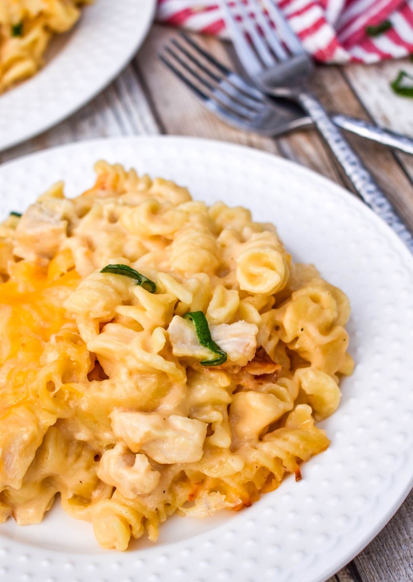 three cheese chicken and rotini pasta casserole on a white plate