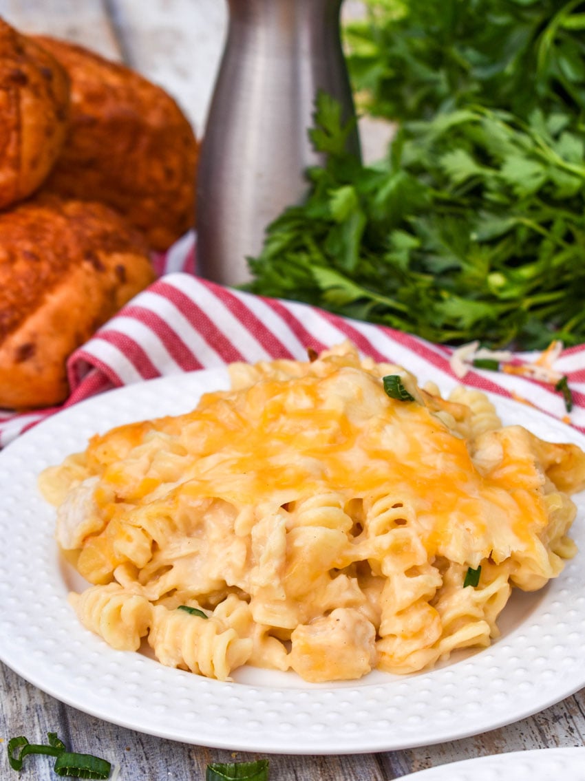 three cheese chicken and rotini pasta casserole on a white plate