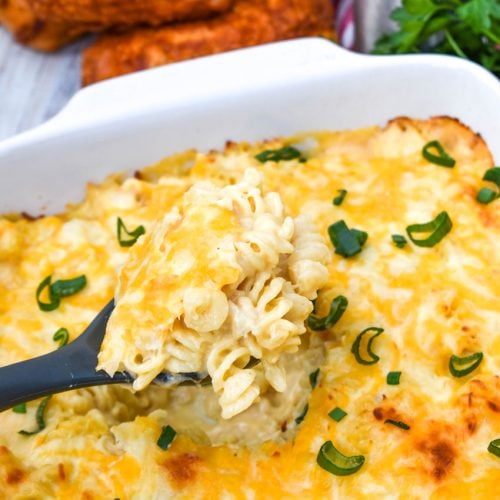 Three Cheese Chicken And Rotini Pasta Casserole - 4 Sons 'R' Us