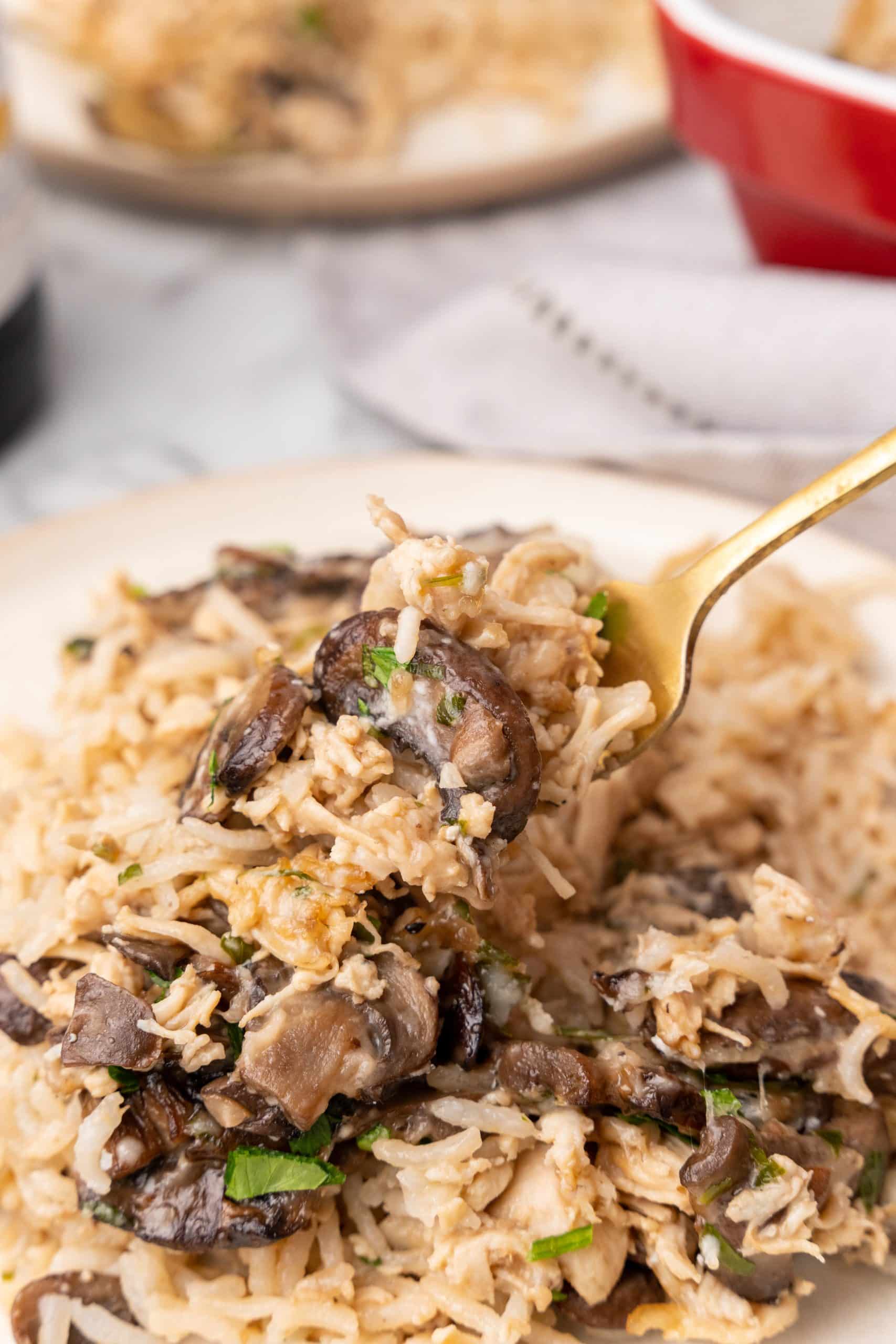 a golden fork holding up a scoop of chicken marsala and rice casserole