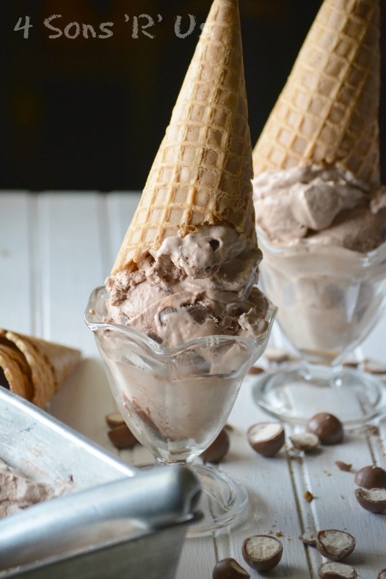 Chocolate Malt Crunch Ice Cream 2 - 4 Sons 'R' Us