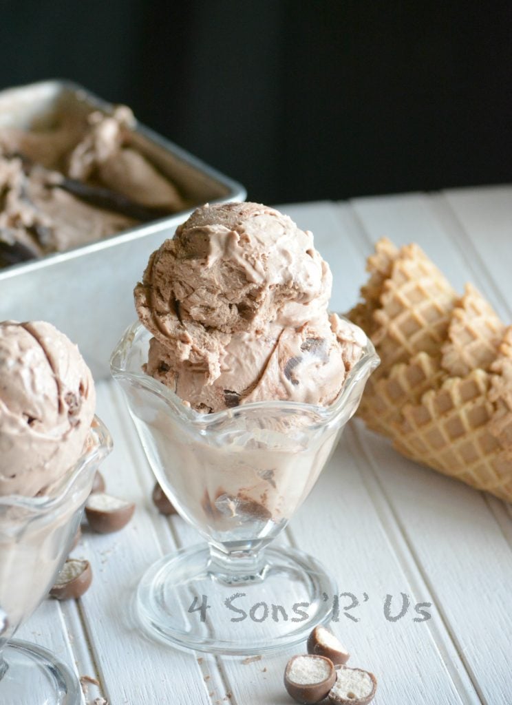 Chocolate Malt Crunch Ice Cream