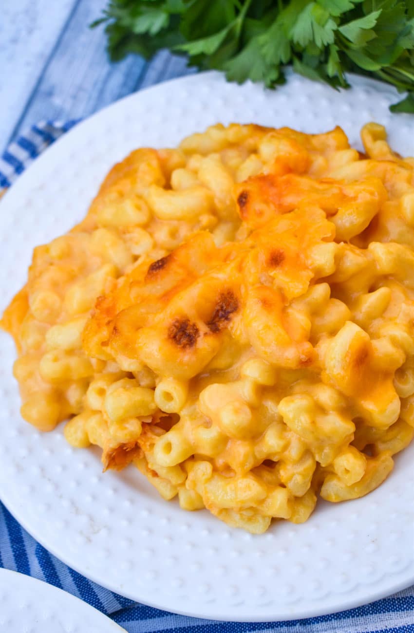 homemade stouffer's mac and cheese on a white dinner plate with fresh herbs in the background