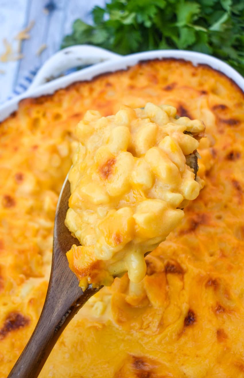 a wooden spoon holding up a scoop of copycat stouffer's macaroni and cheese 