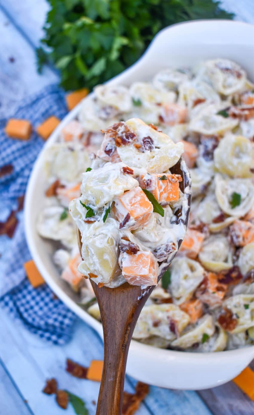 a wooden spoon holding up a scoop of creamy tortellini salad with ranch dressing