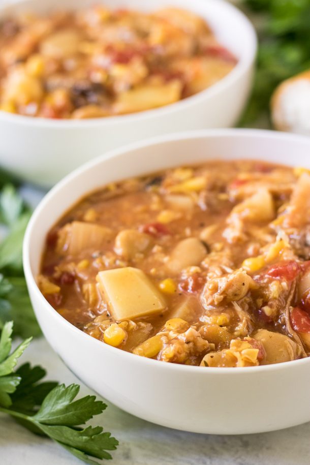 Traditional Brunswick Stew Recipe - 4 Sons 'R' Us